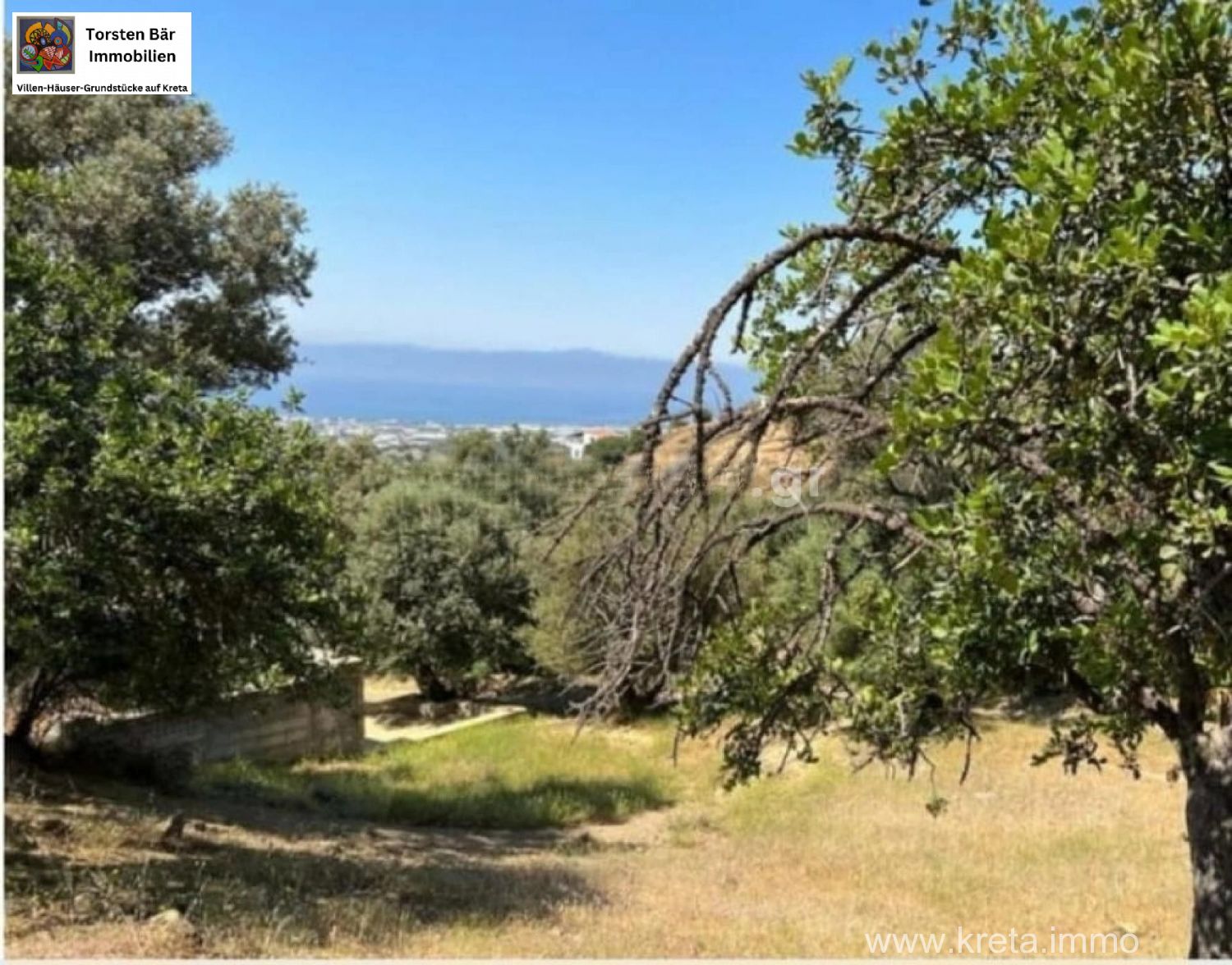 Foto der Immobilie (72396)