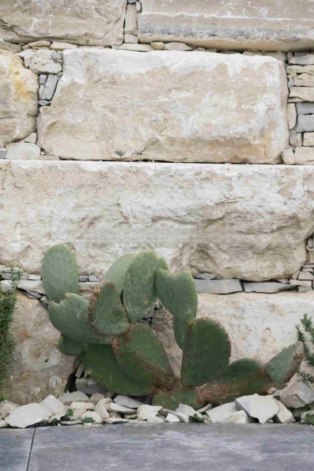 Foto der Immobilie (72416)