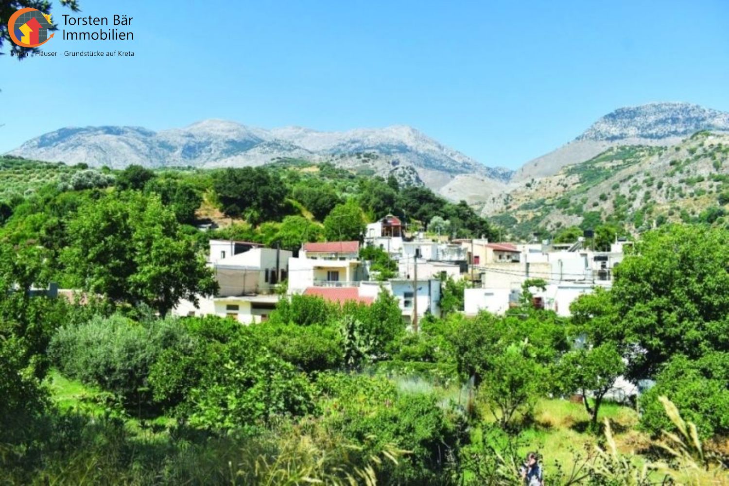 Foto der Immobilie (74619)