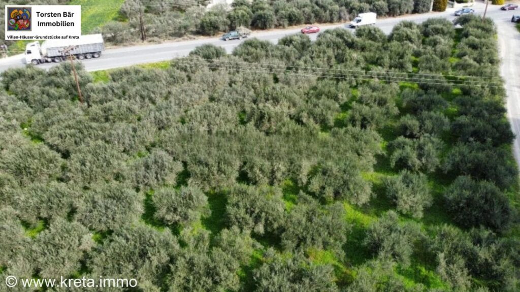 Foto der Immobilie (73171)