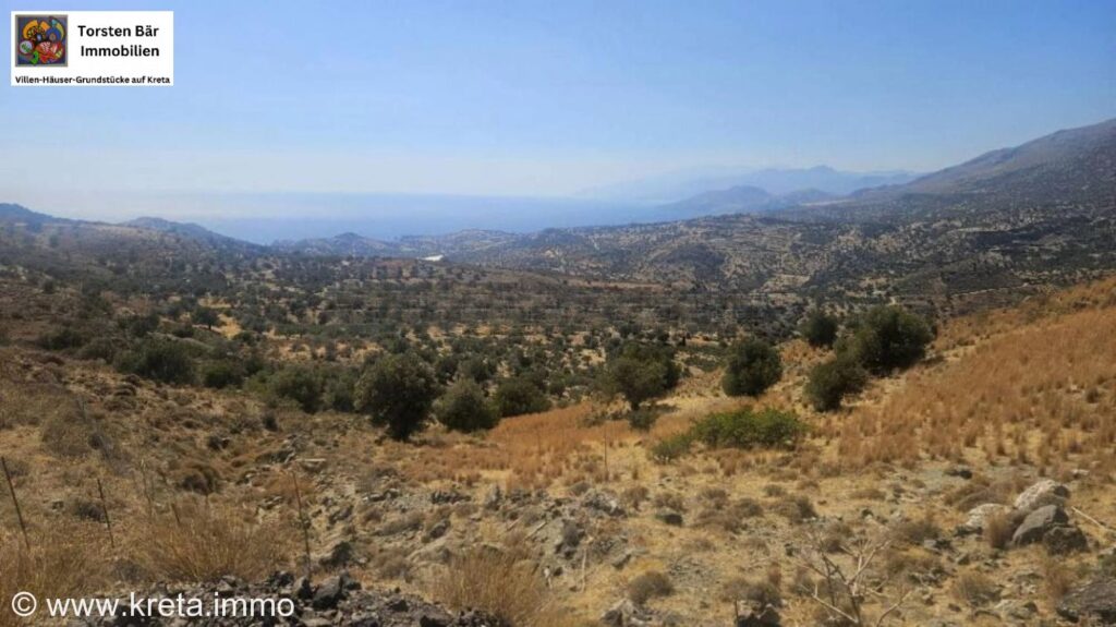 Foto der Immobilie (73191)