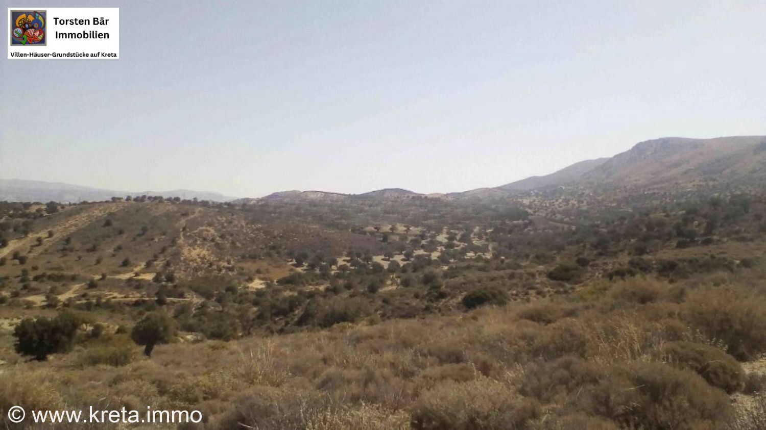 Foto der Immobilie (73244)