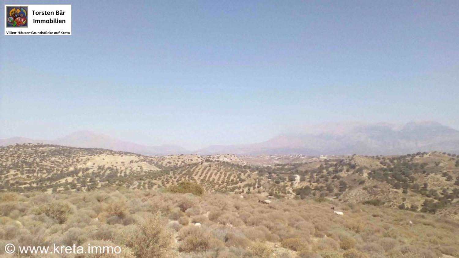 Foto der Immobilie (73243)