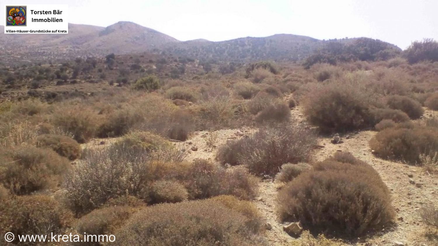 Foto der Immobilie (73245)