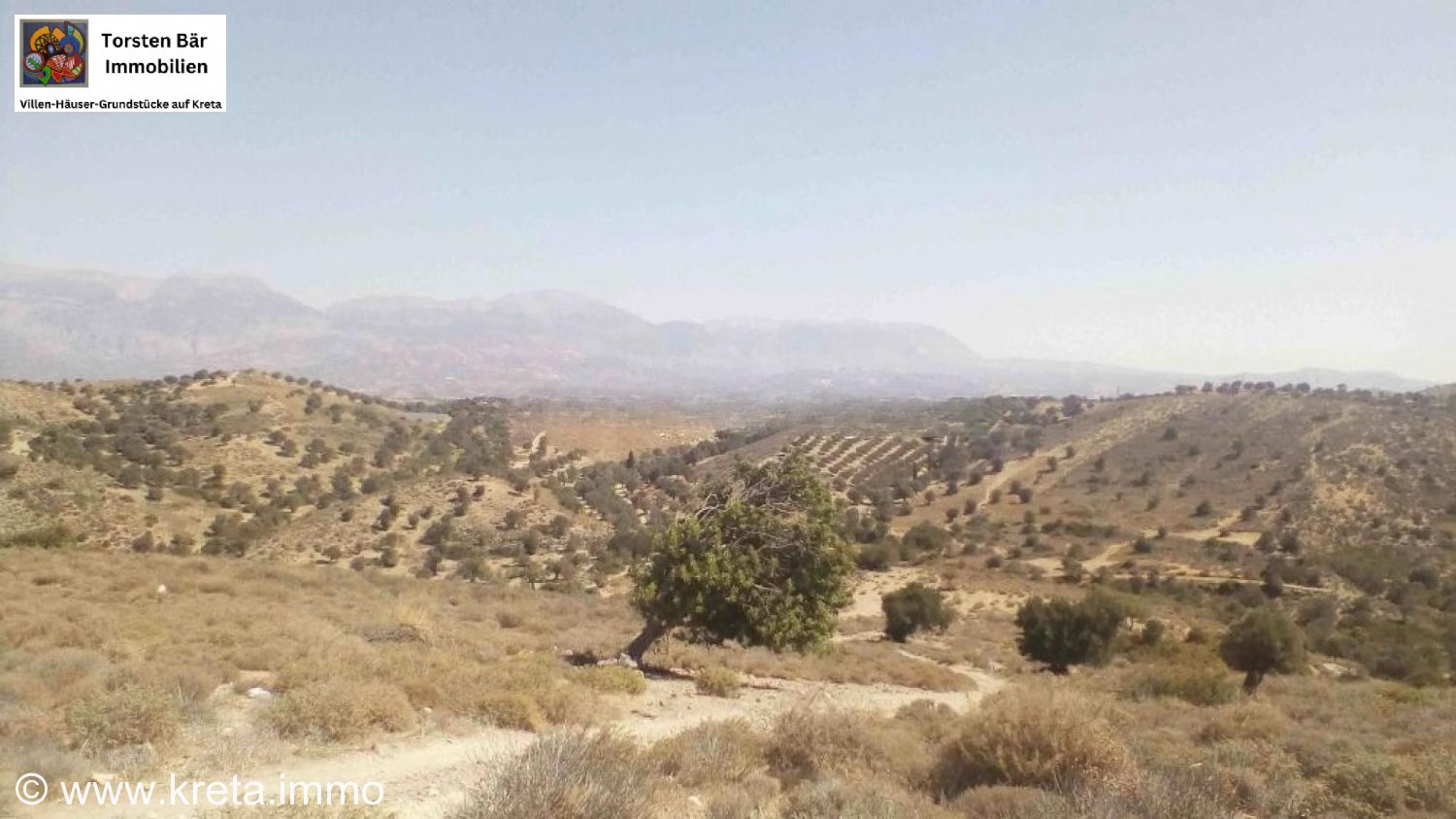 Foto der Immobilie (73246)