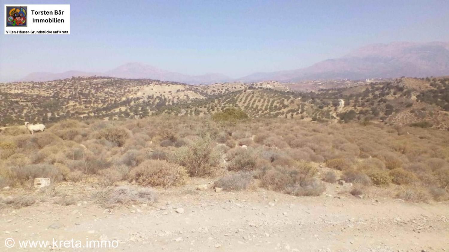 Foto der Immobilie (73247)