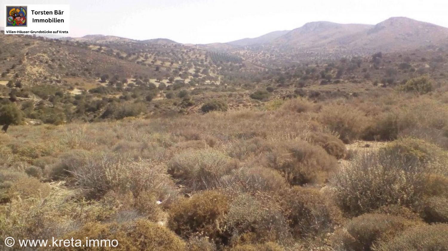 Foto der Immobilie (73249)