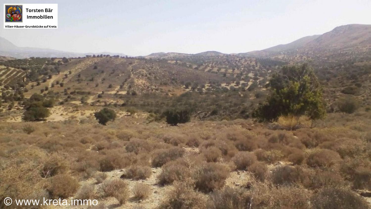 Foto der Immobilie (73248)