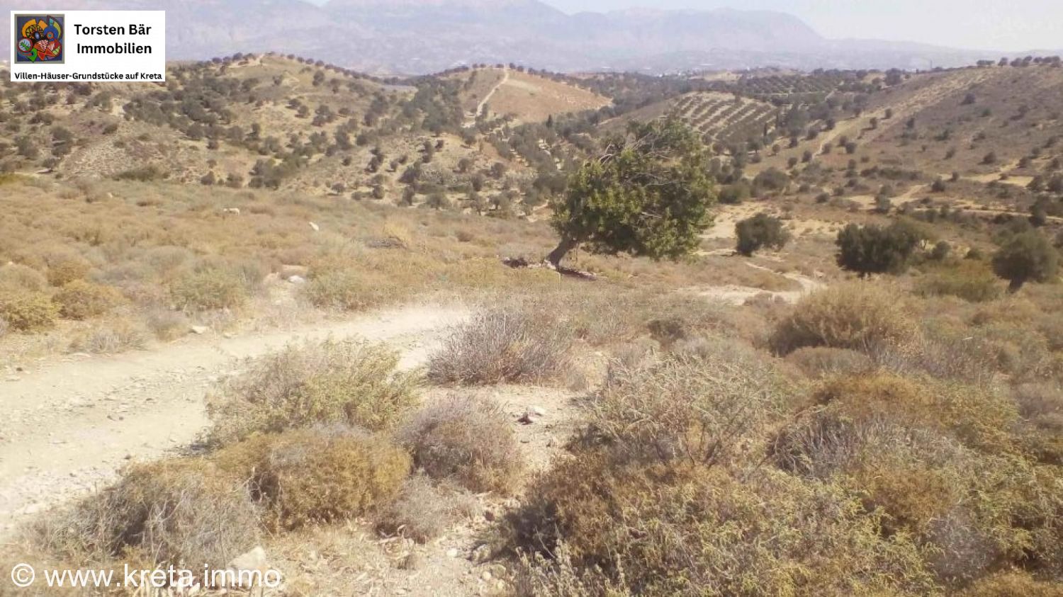 Foto der Immobilie (73250)