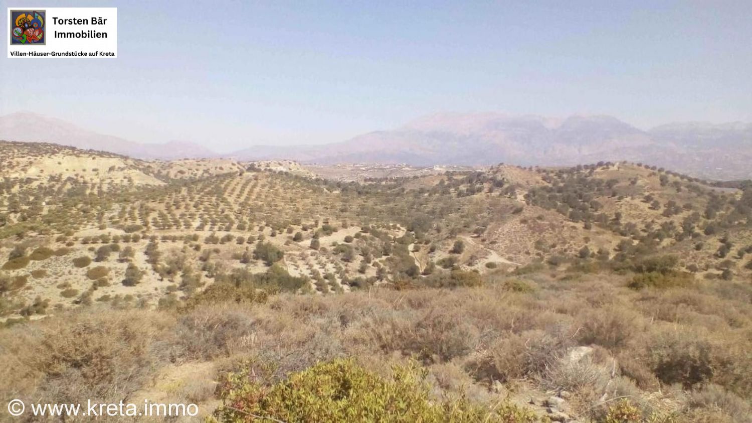 Foto der Immobilie (73251)