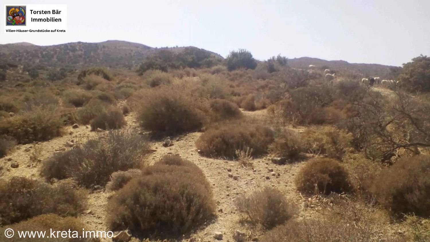 Foto der Immobilie (73254)