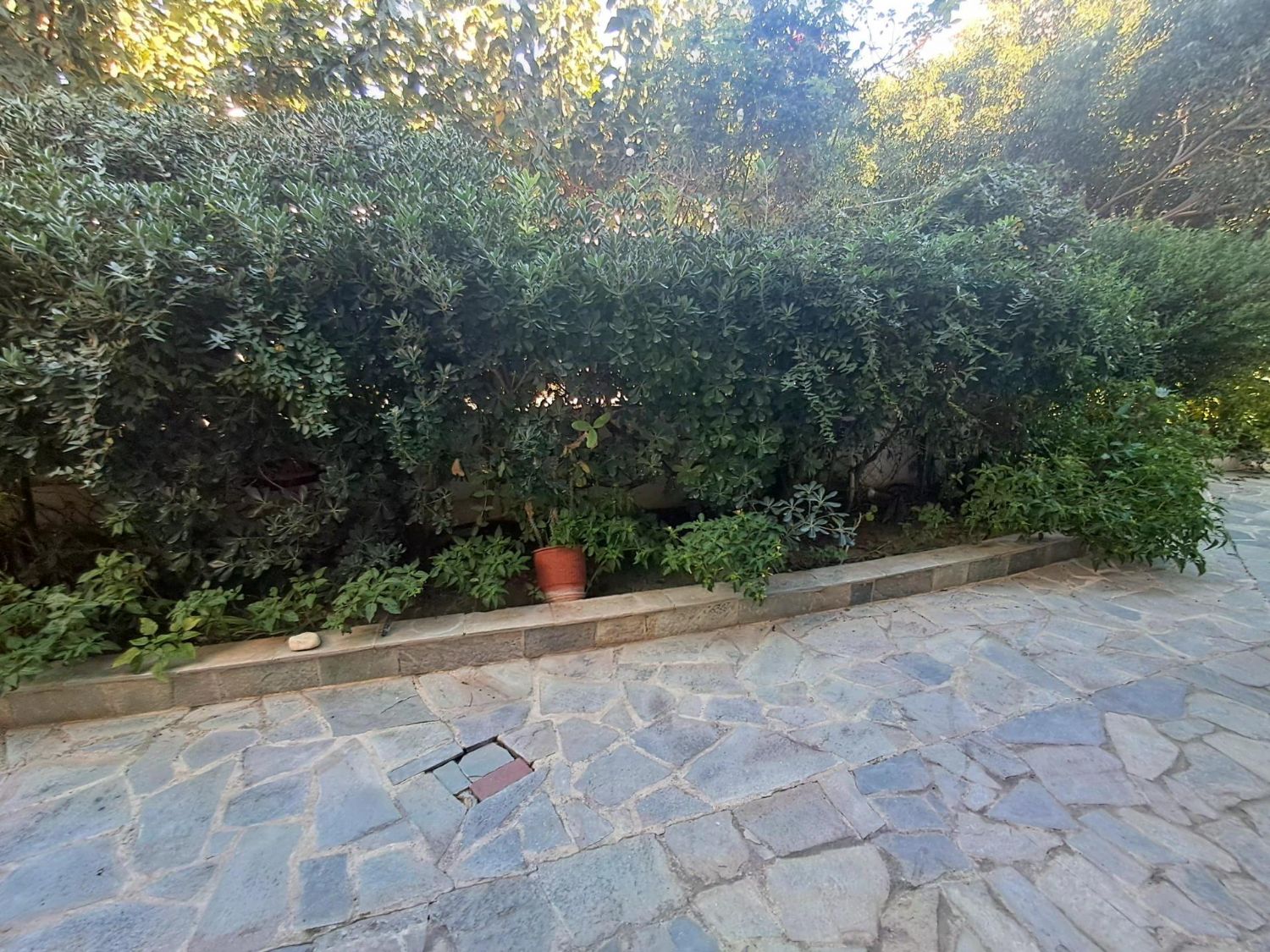 Foto der Immobilie (76162)