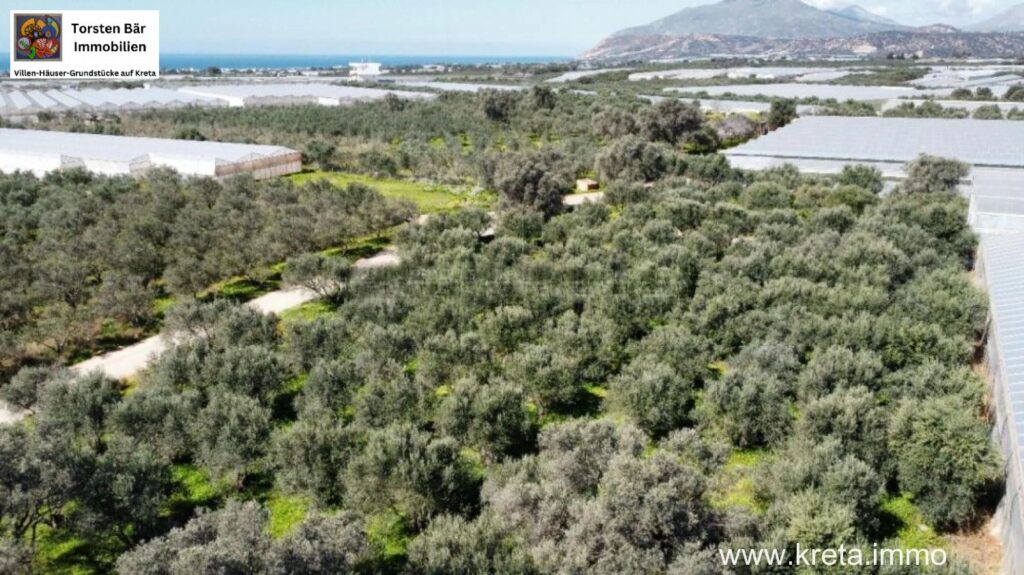 Foto der Immobilie (76213)