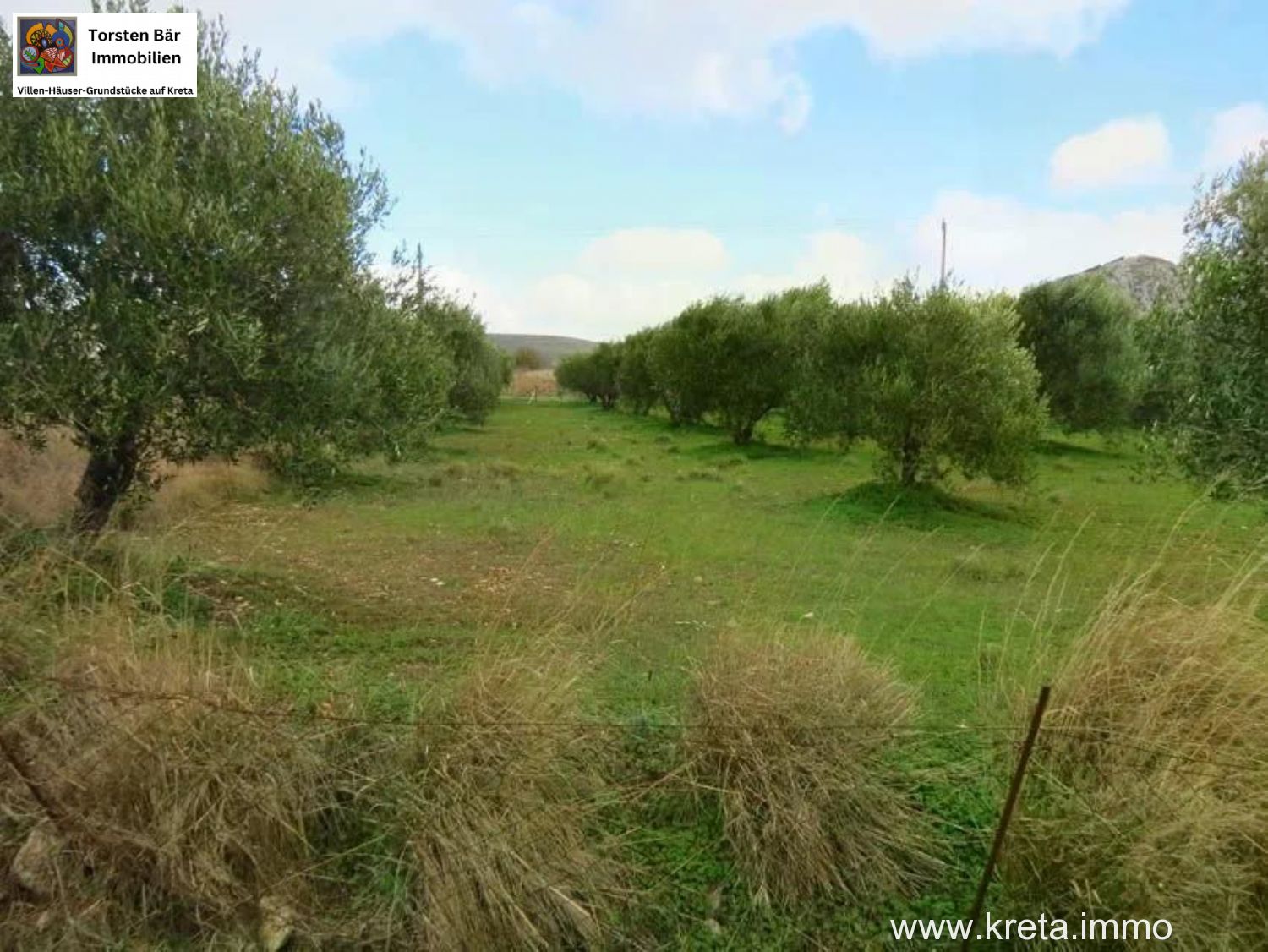 Foto der Immobilie (76253)