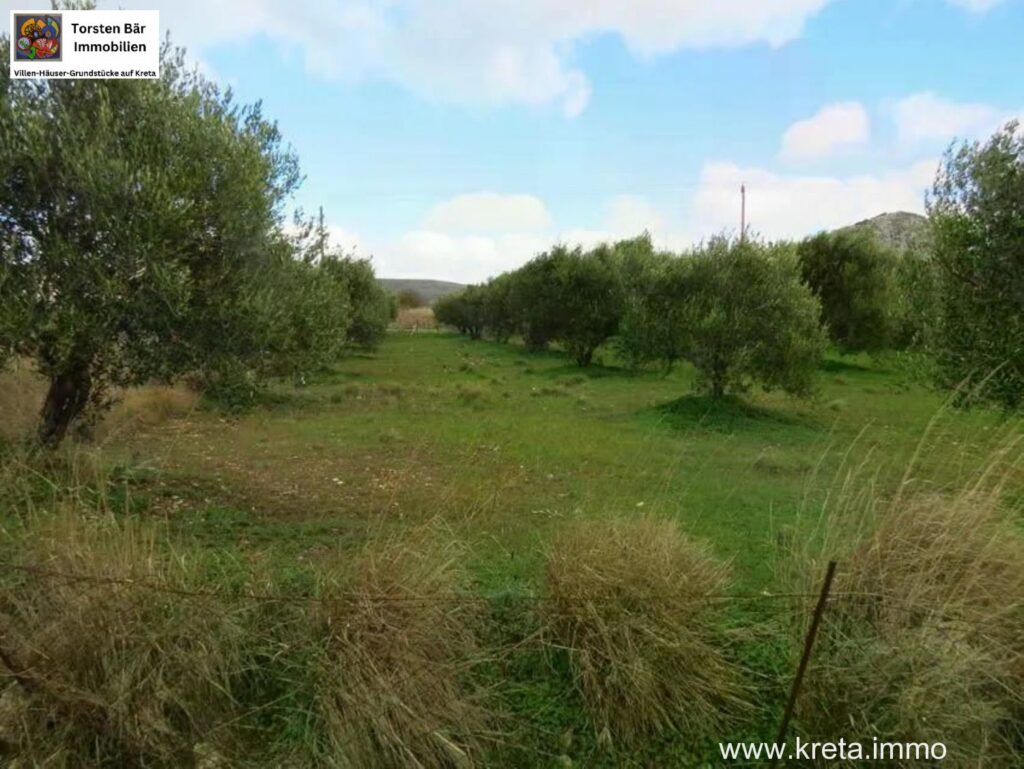 Foto der Immobilie (76252)