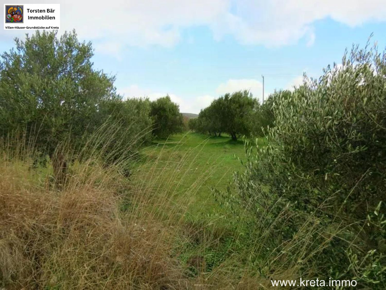 Foto der Immobilie (76254)