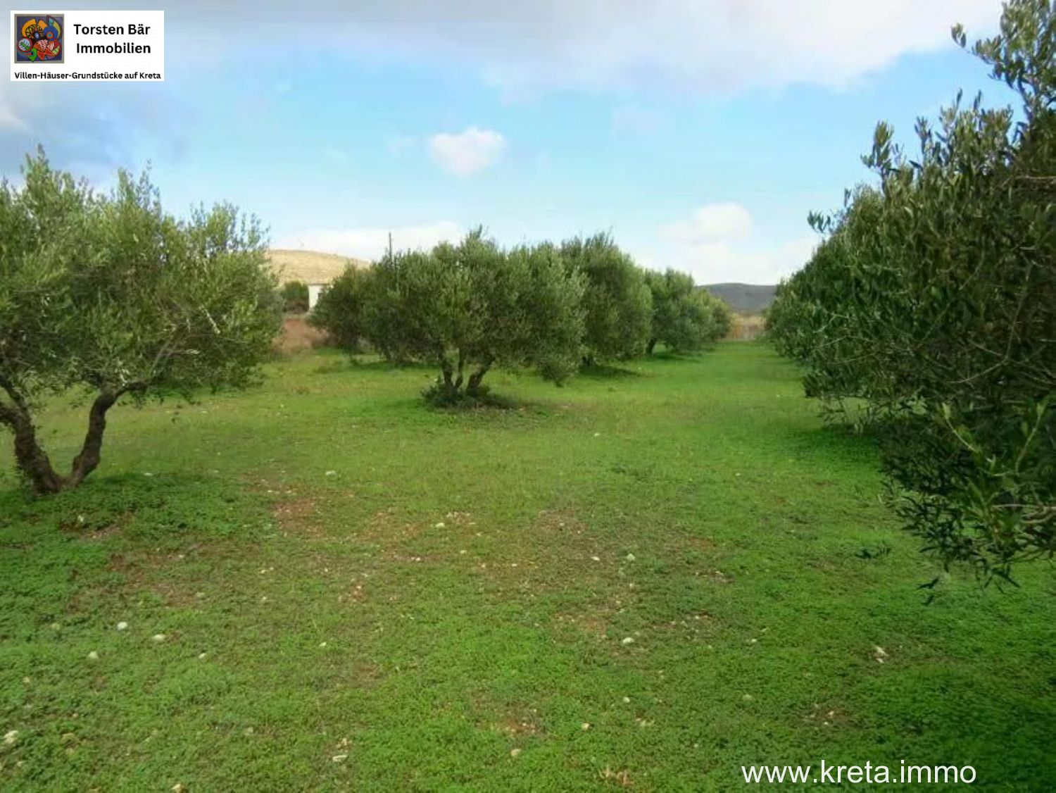 Foto der Immobilie (76257)