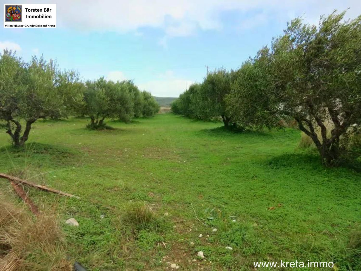 Foto der Immobilie (76255)