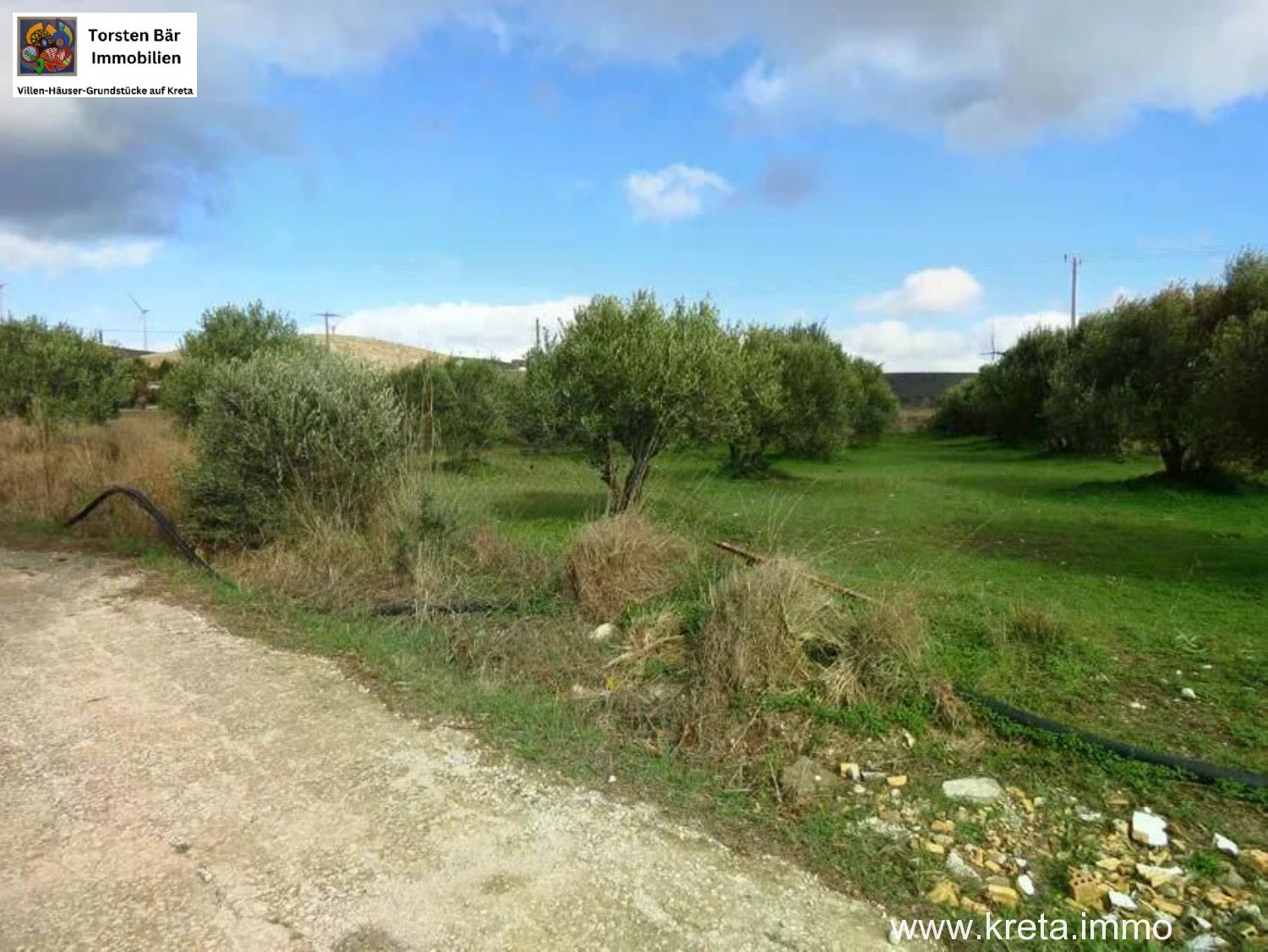 Foto der Immobilie (76258)