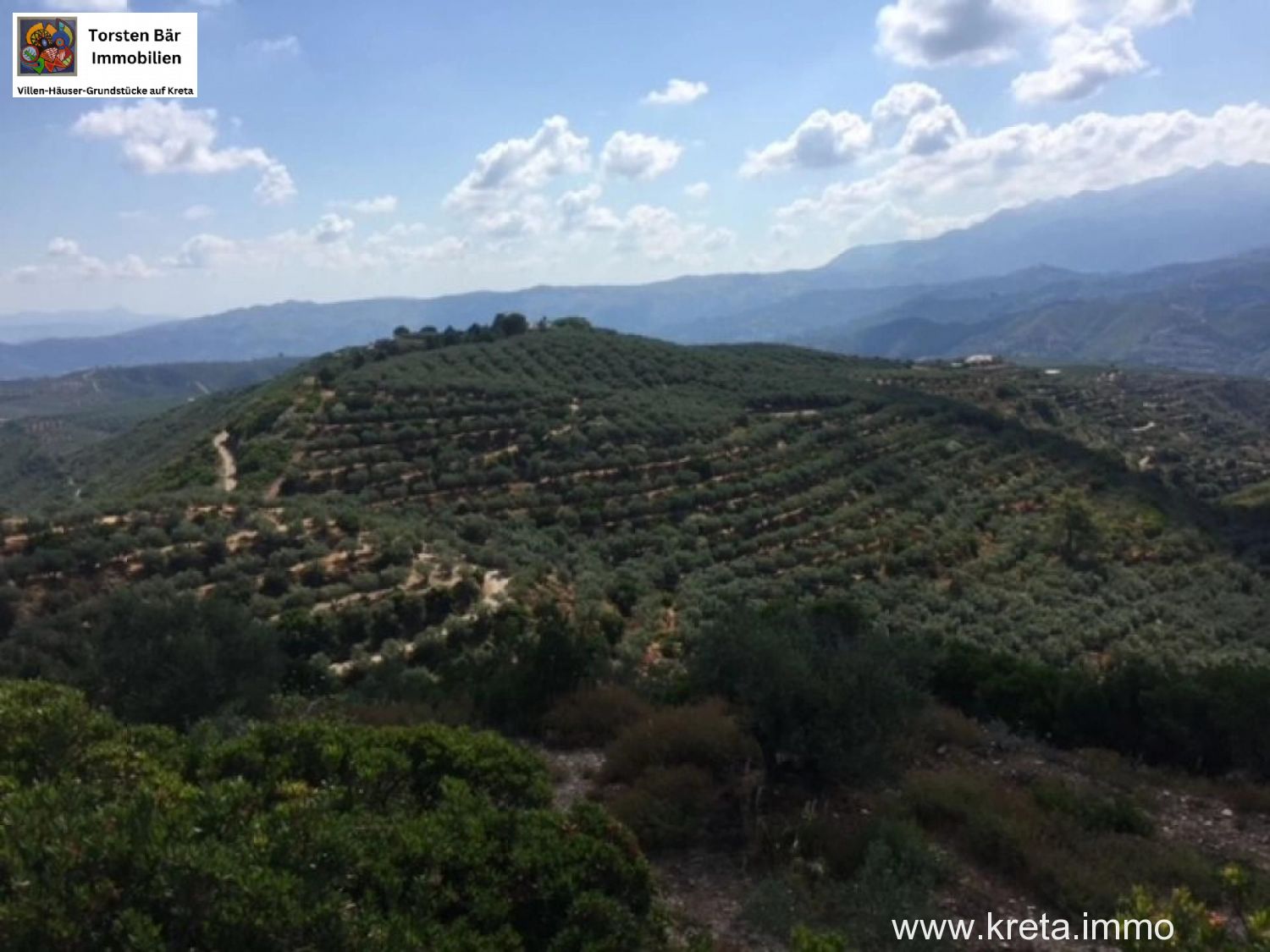 Foto der Immobilie (76367)