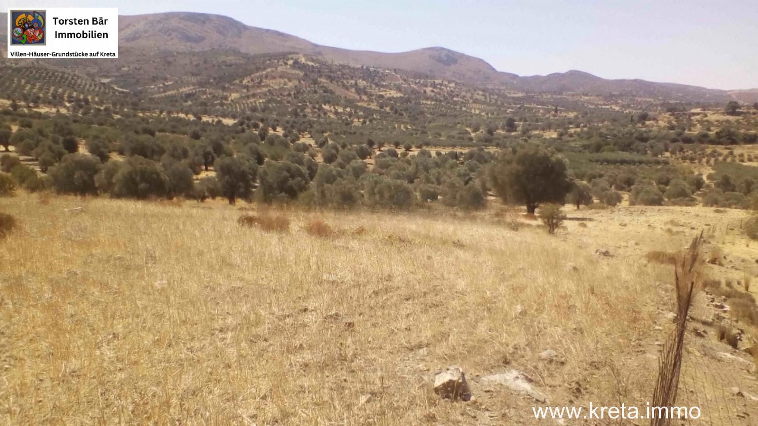 Foto der Immobilie (76381)