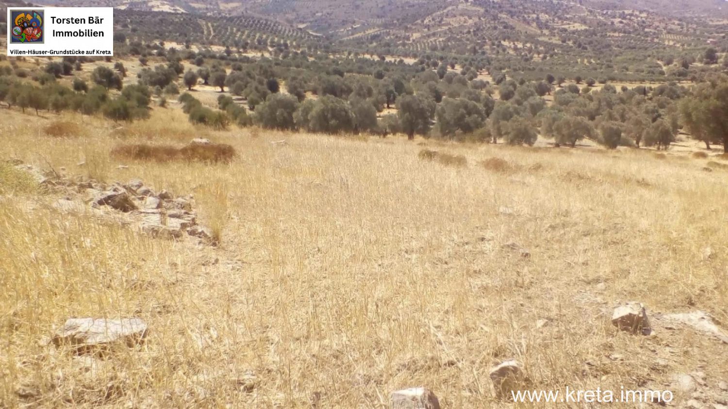 Foto der Immobilie (76383)