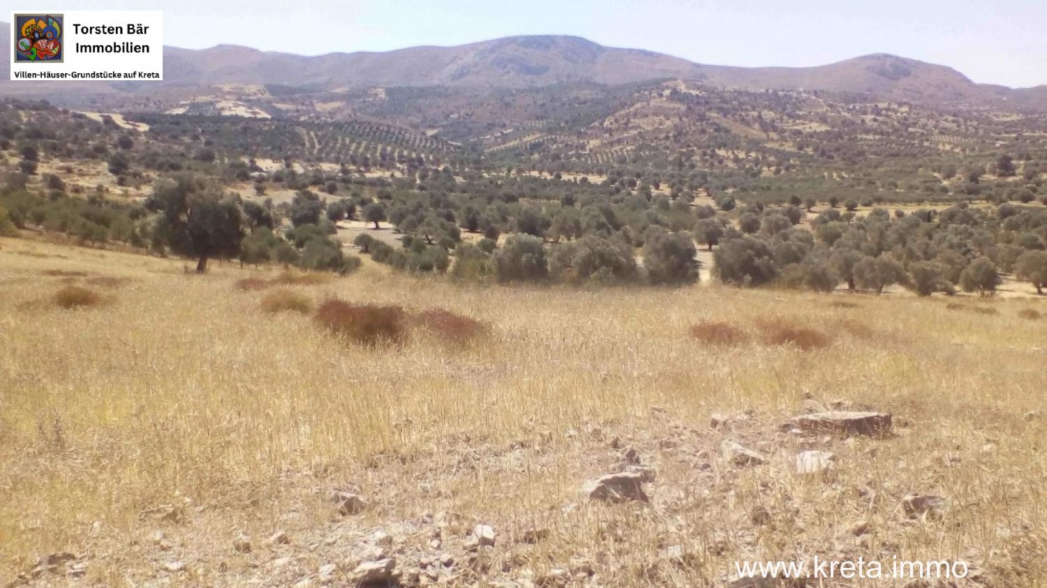 Foto der Immobilie (76384)