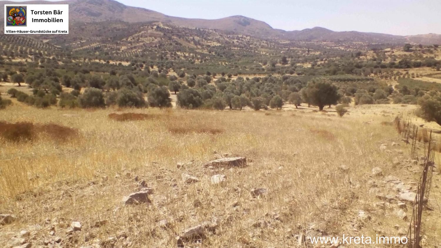 Foto der Immobilie (76385)