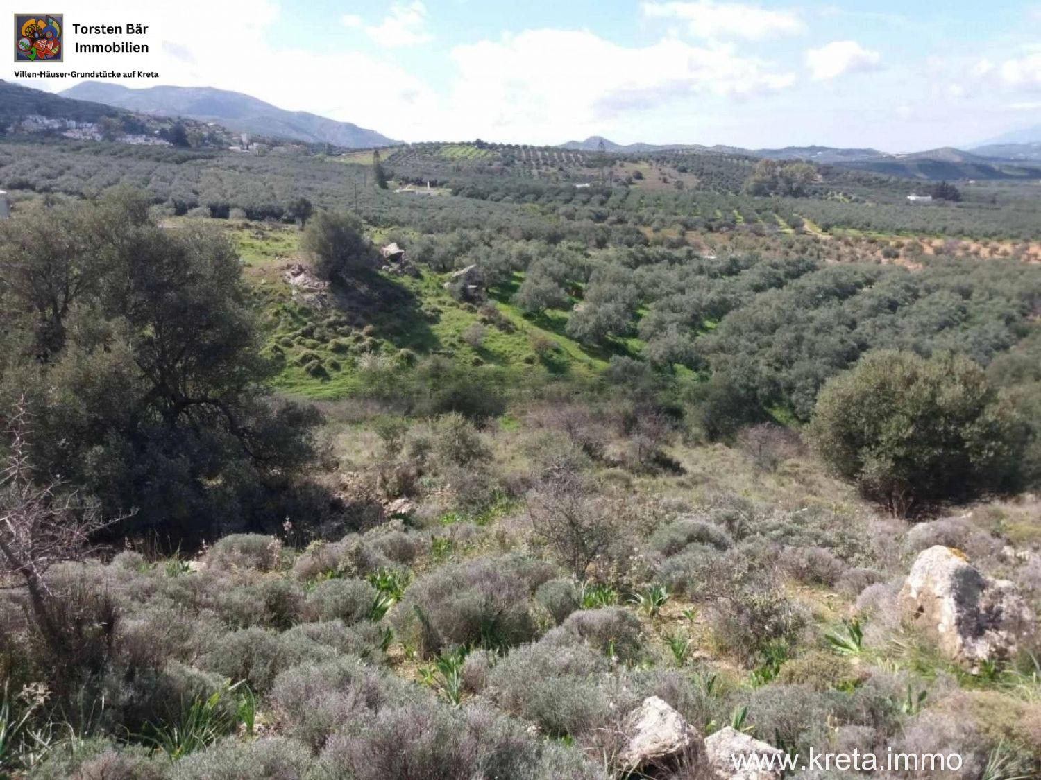 Foto der Immobilie (76426)