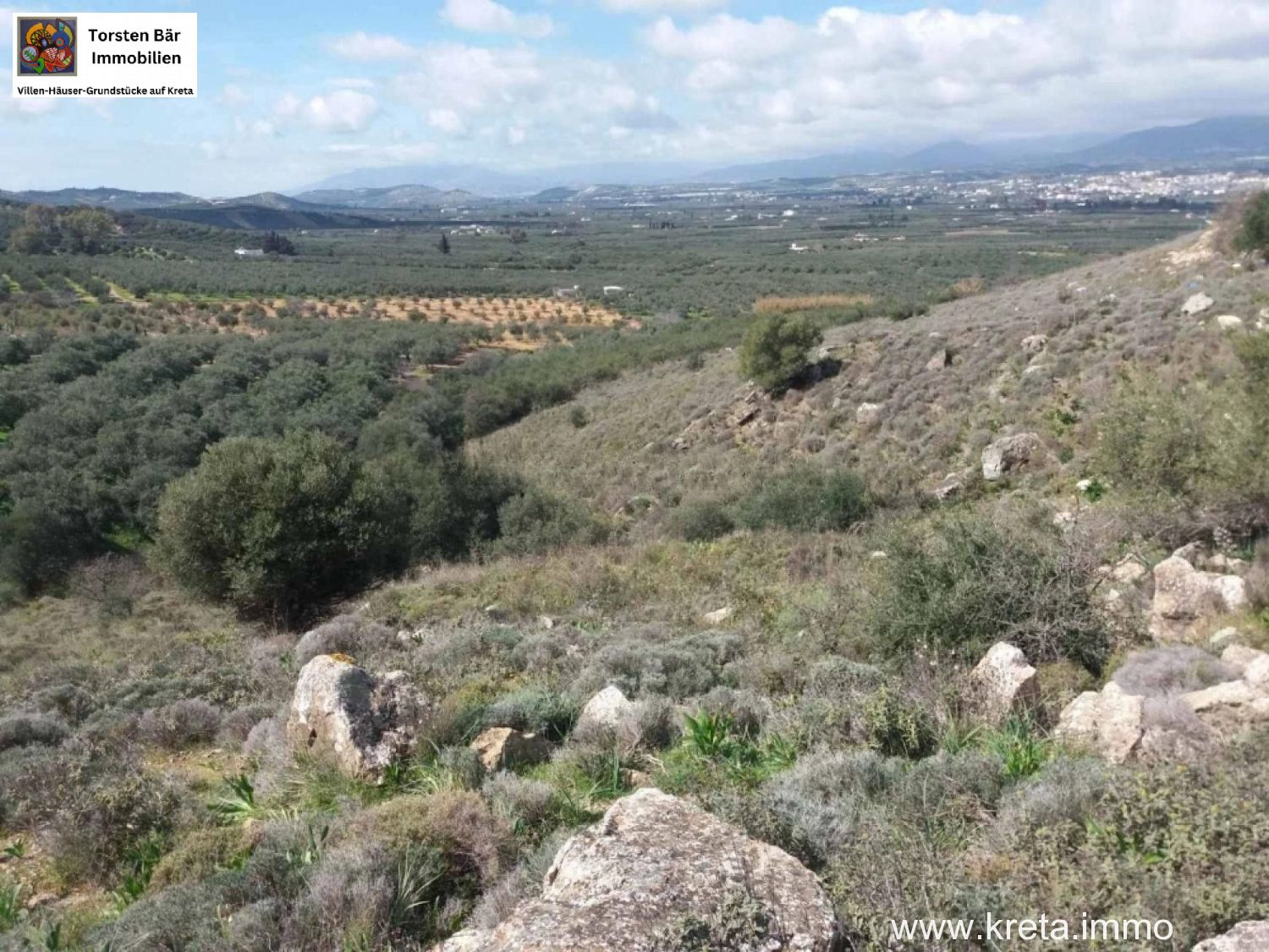 Foto der Immobilie (76422)