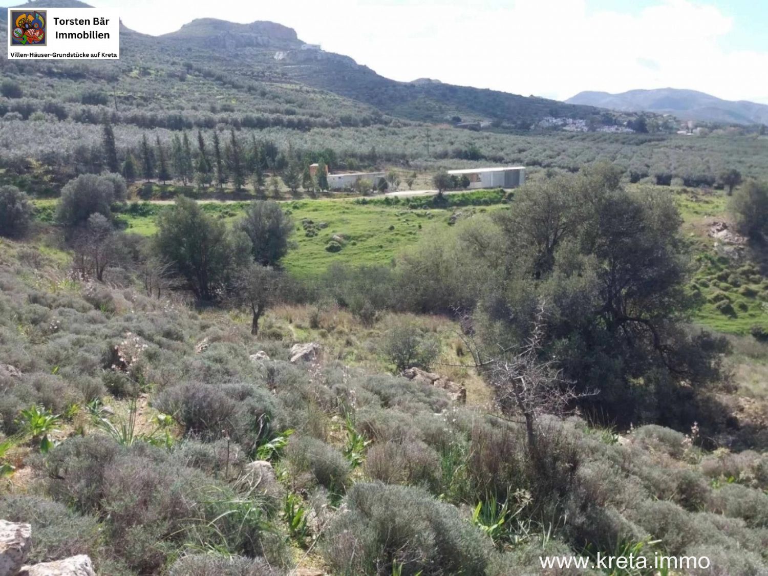 Foto der Immobilie (76427)