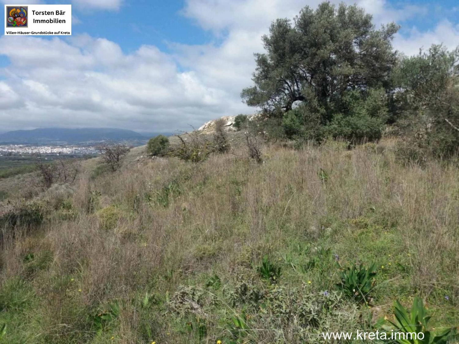 Foto der Immobilie (76428)