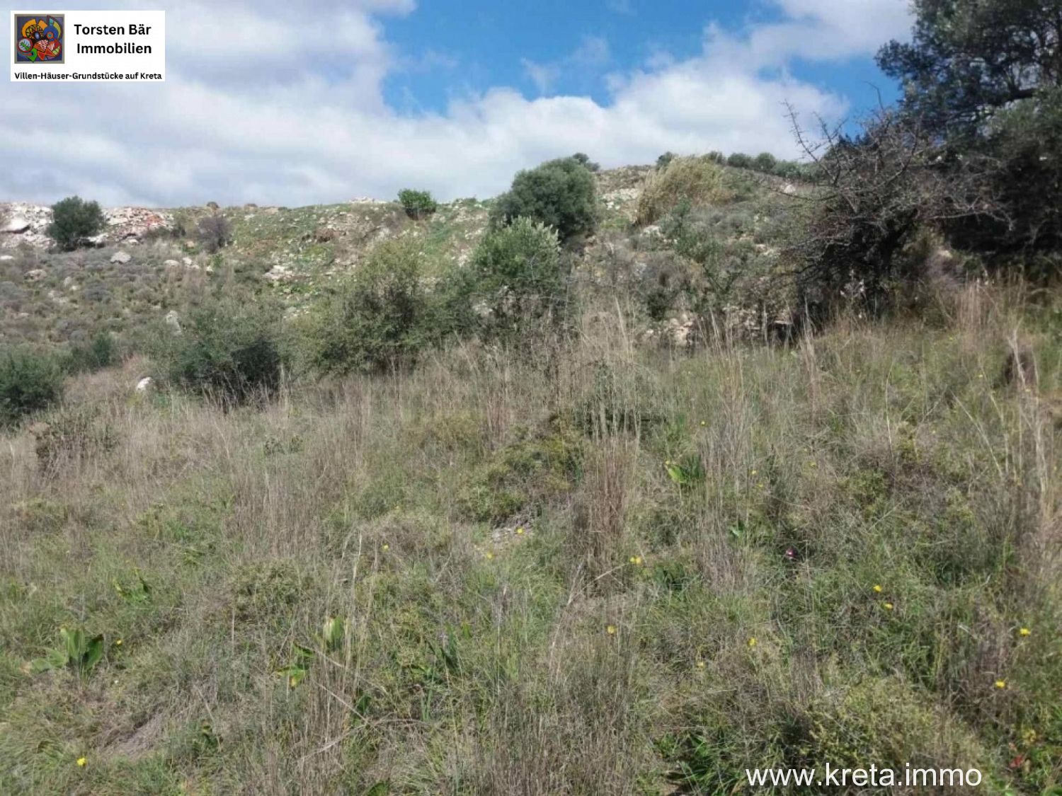 Foto der Immobilie (76429)