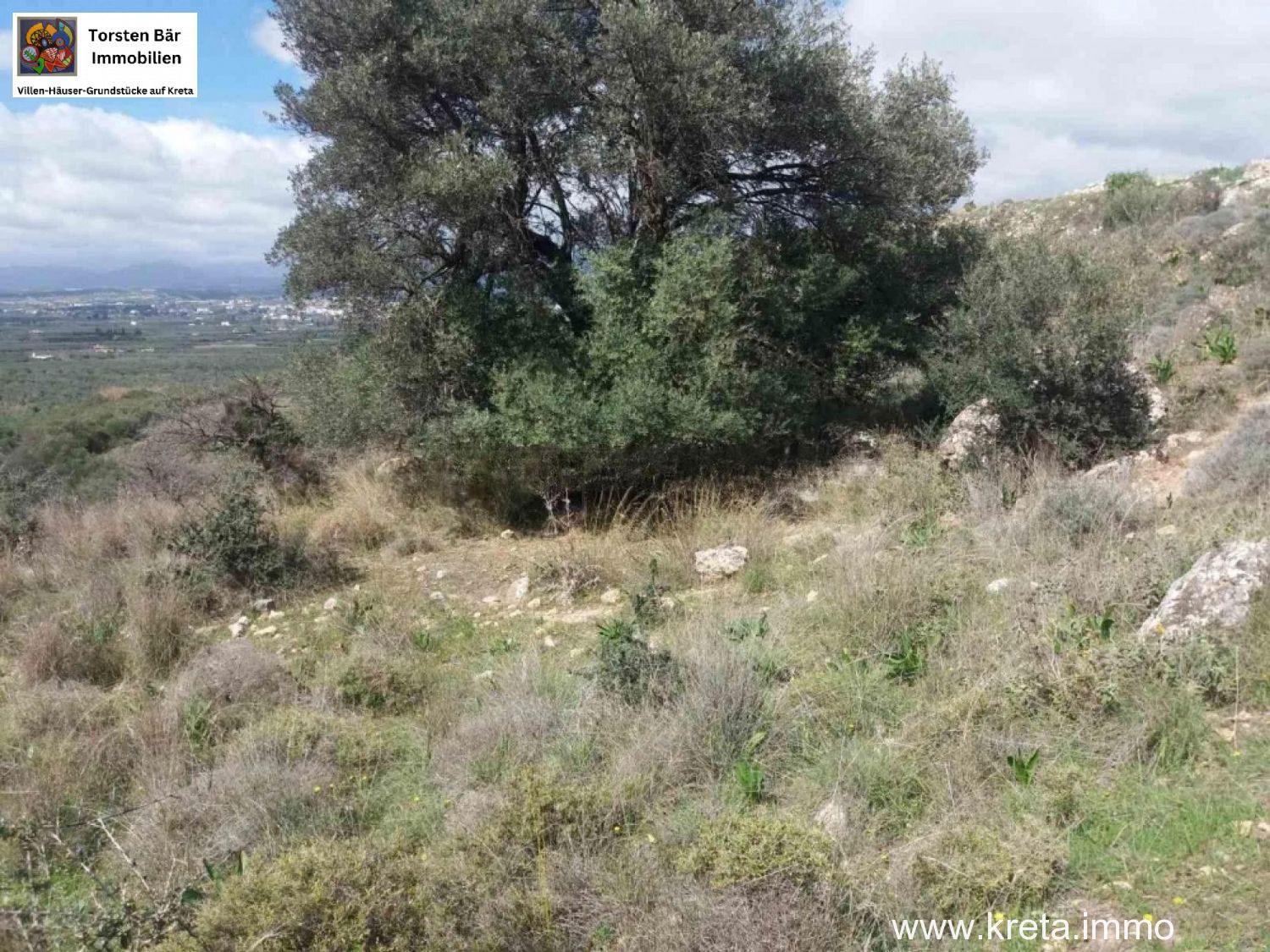 Foto der Immobilie (76431)