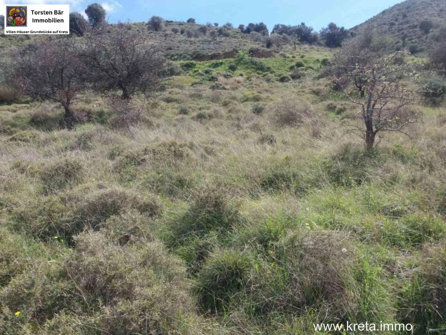 Foto der Immobilie (76434)