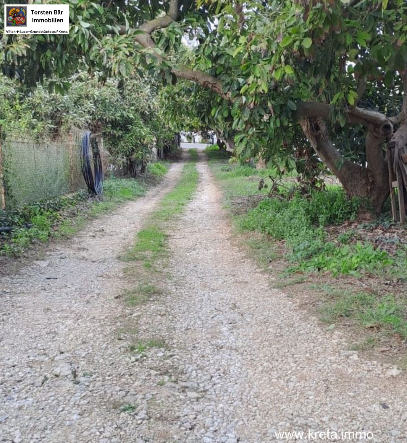 Foto der Immobilie (76519)