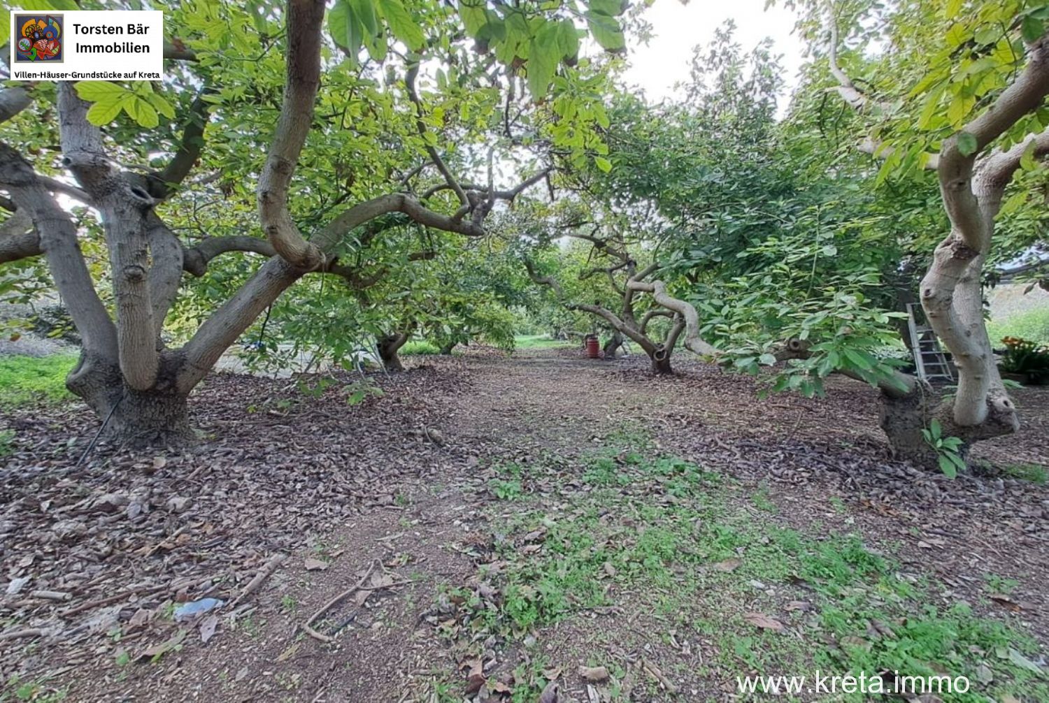 Foto der Immobilie (76524)