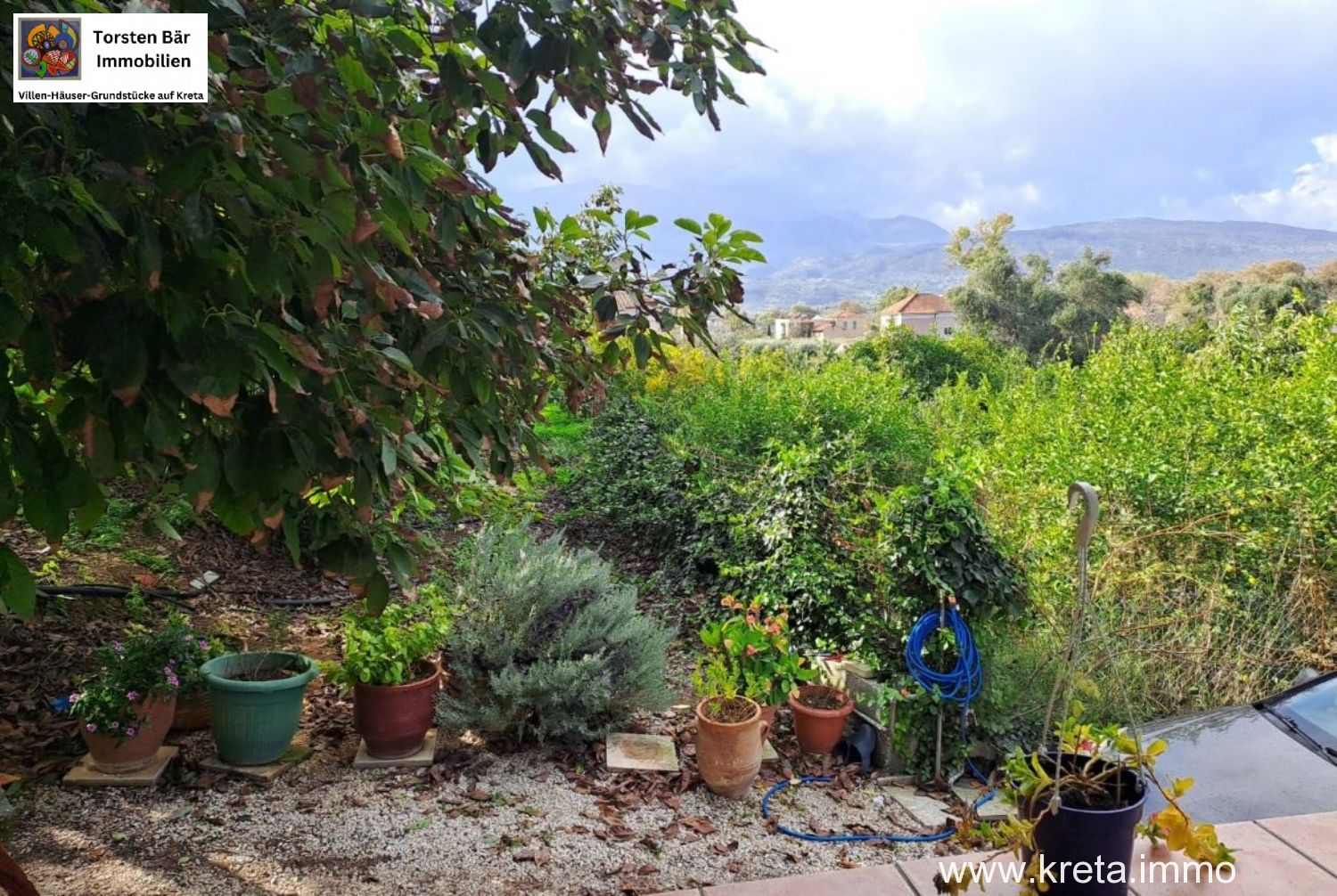 Foto der Immobilie (76533)