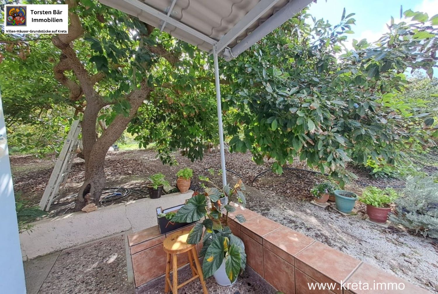 Foto der Immobilie (76534)