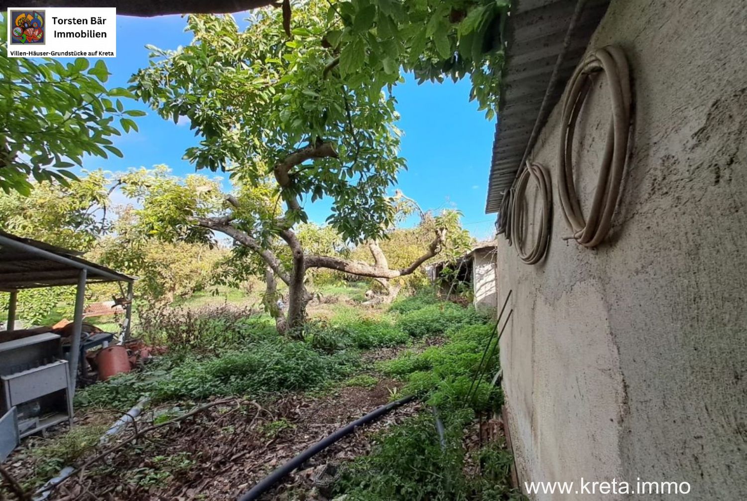 Foto der Immobilie (76536)