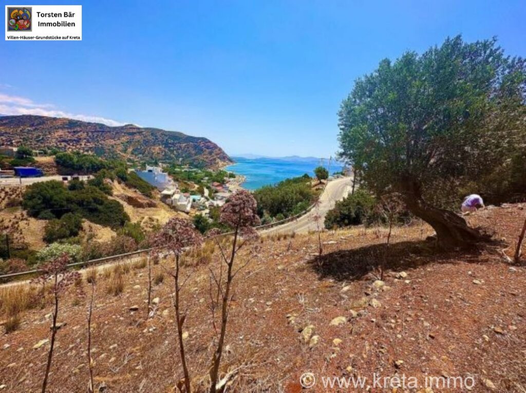 Foto der Immobilie (79795)