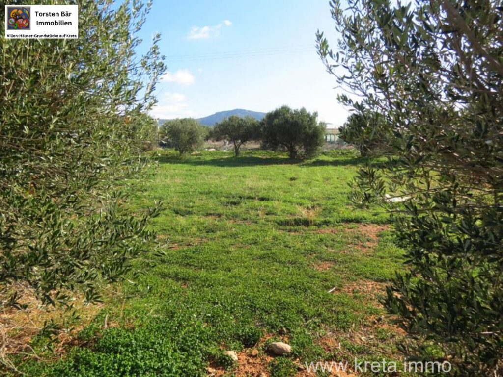 Foto der Immobilie (81354)