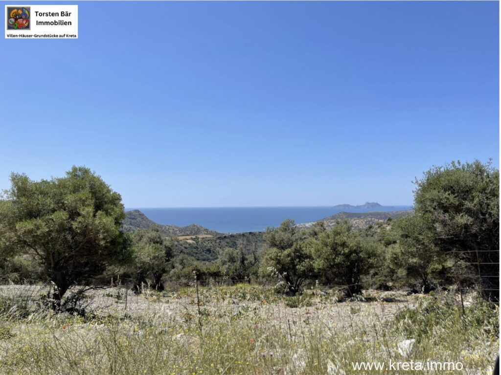 Foto der Immobilie (79972)