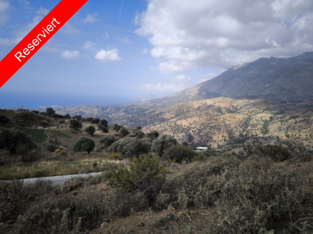 Foto der Immobilie (81130)