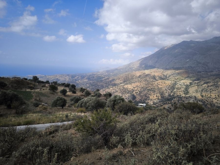 Foto der Immobilie (80583)