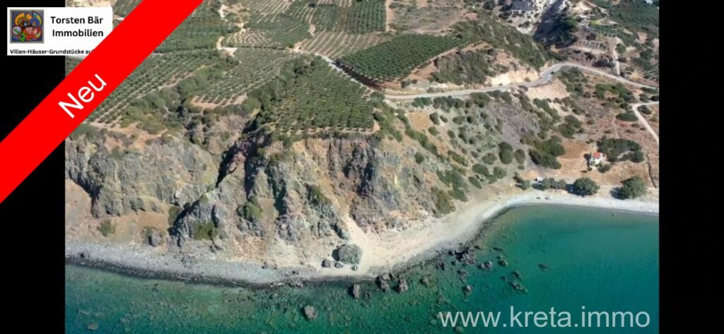 Foto der Immobilie (81033)