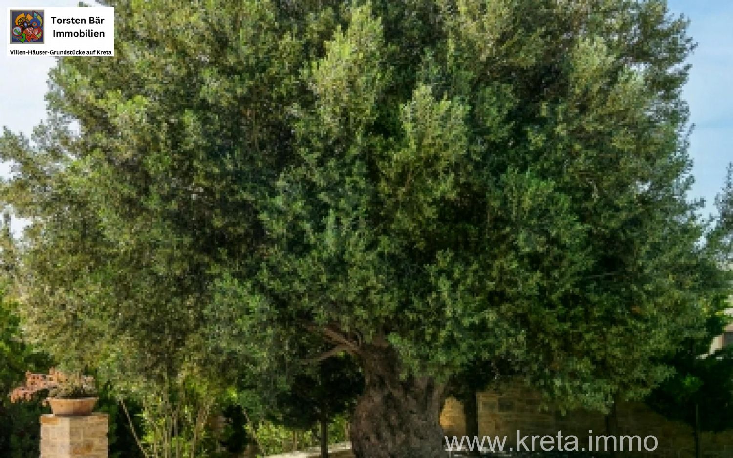 Foto der Immobilie (82554)