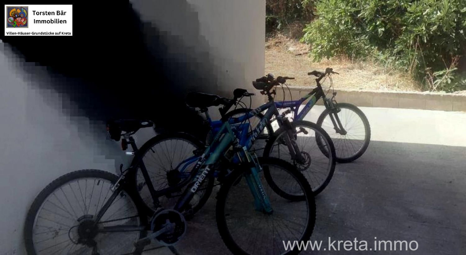 Foto der Immobilie (82566)