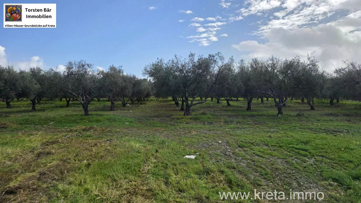 Foto der Immobilie (82782)