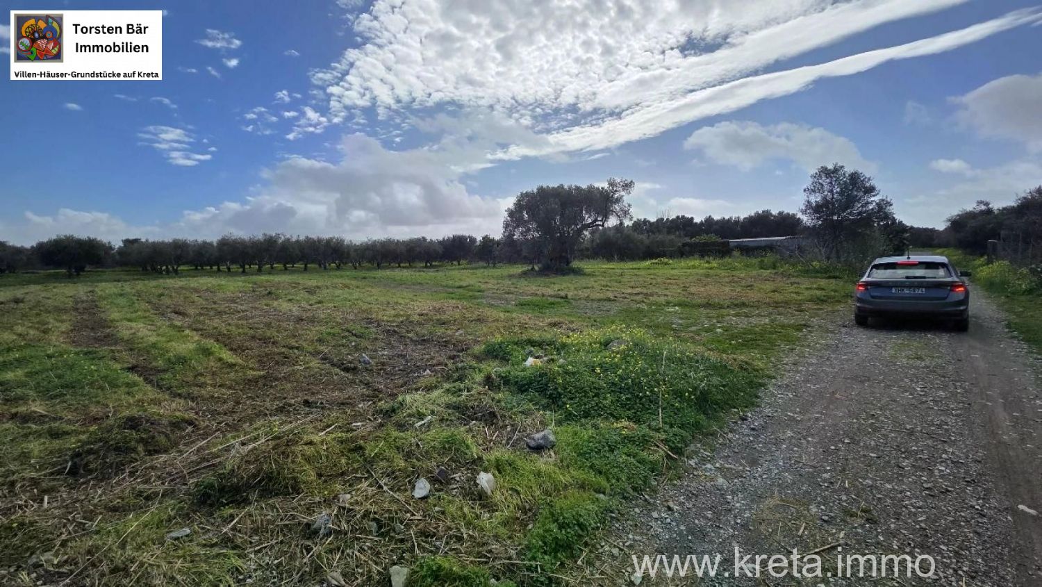 Foto der Immobilie (82784)